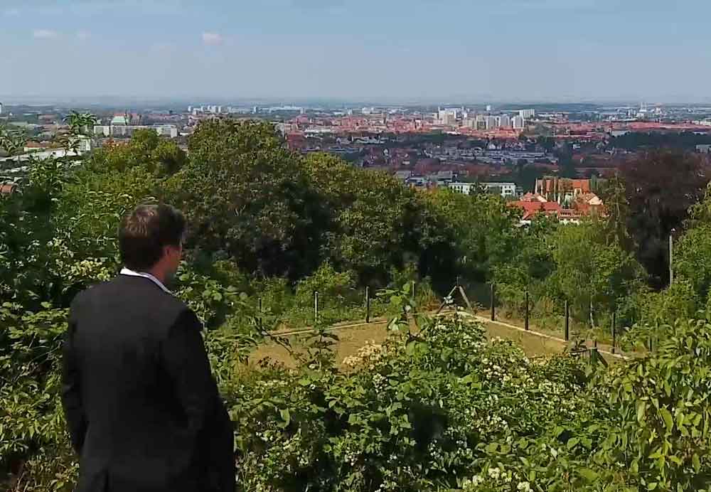 Business man looking over a city